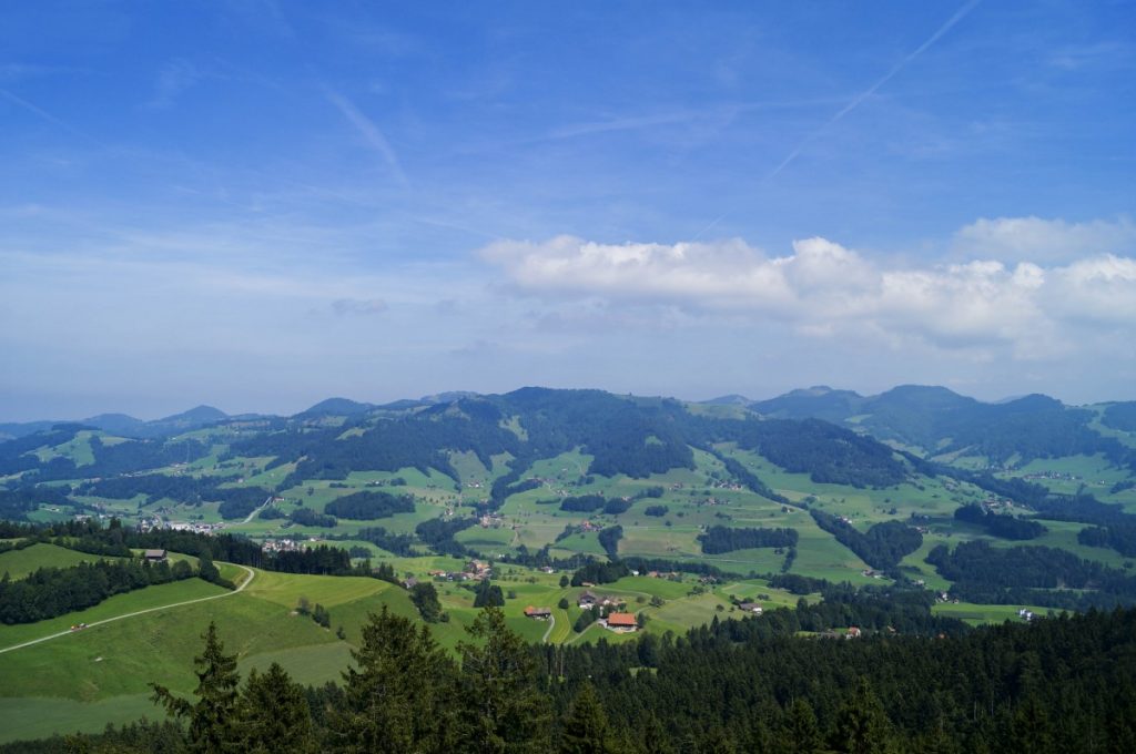 View from the top of Bachtel Tower
