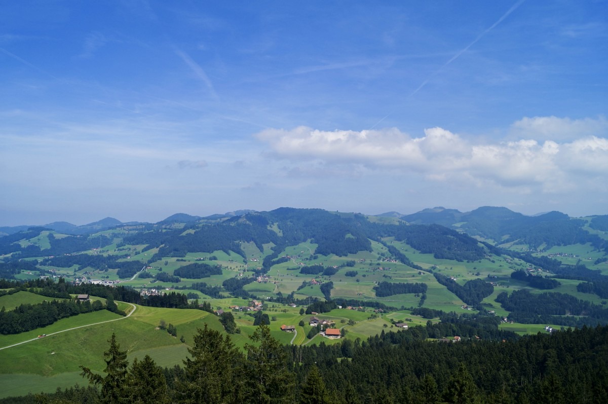 View from the top of Bachtel Tower