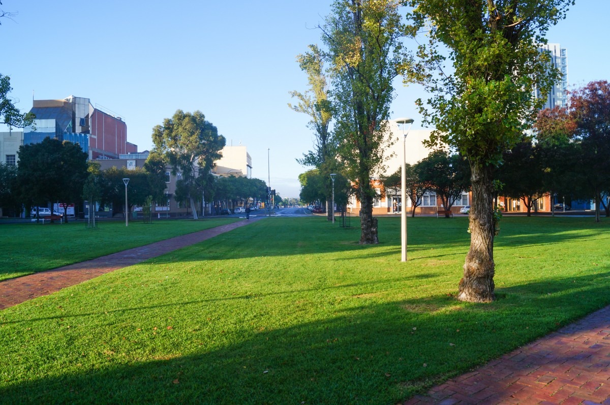 Adelaide City greenery