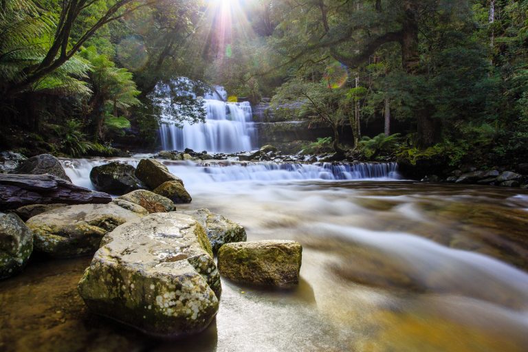 Road Tripping Tasmania