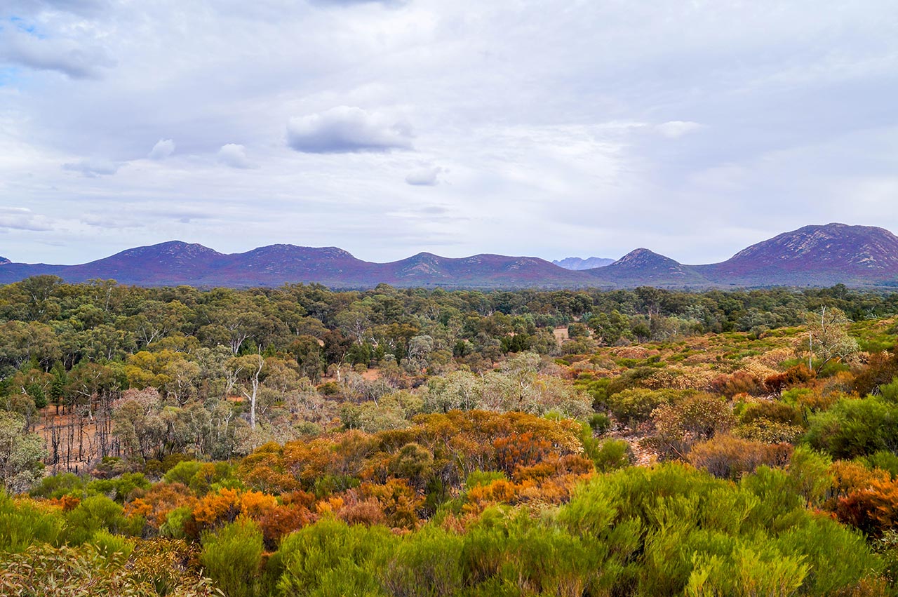 Wilpena Pound Views