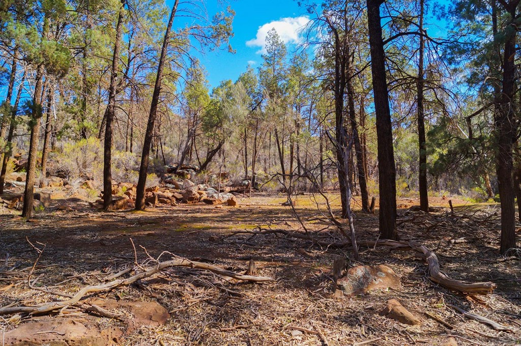 Flinders-Ranges-3