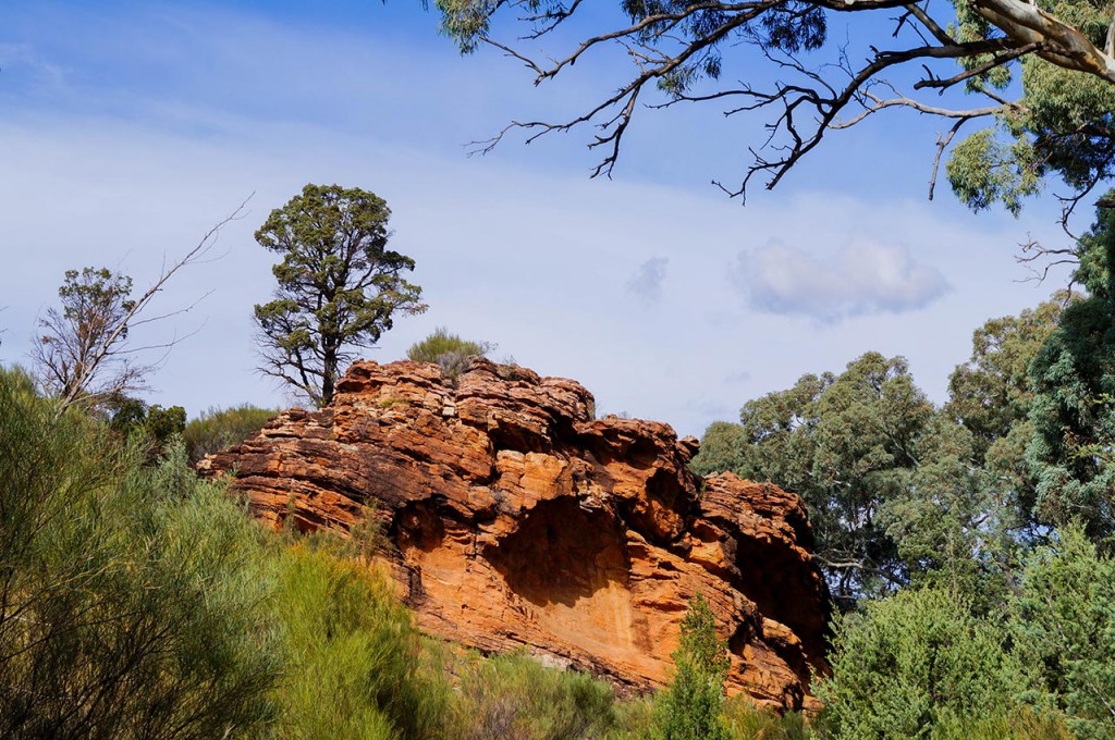 Flinders-Ranges-6