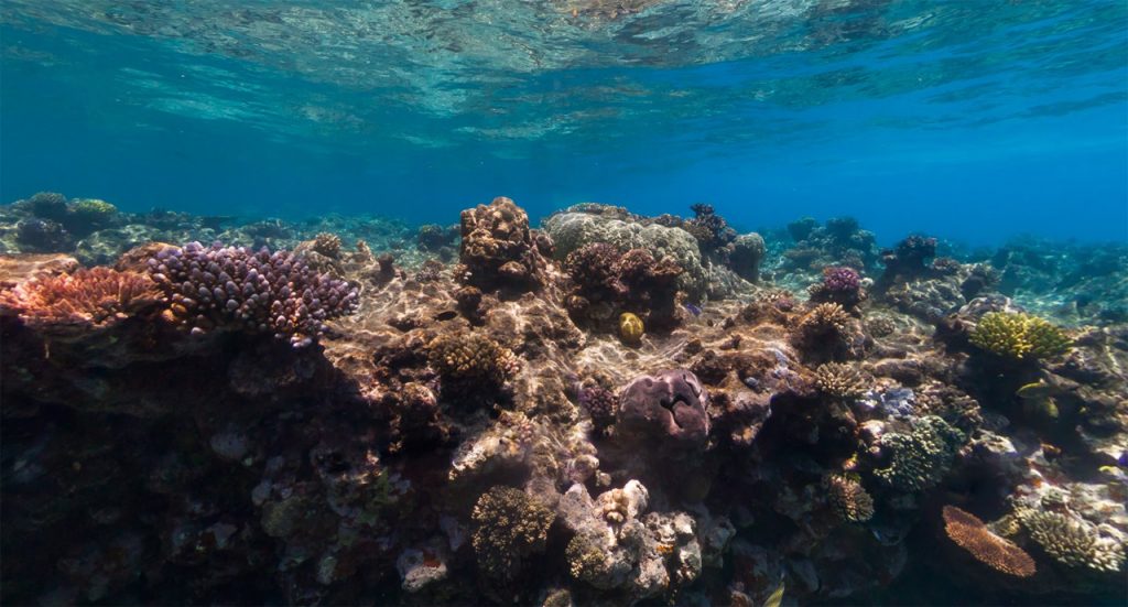 The Great Barrier Reef; Now Available on Google's Street View!