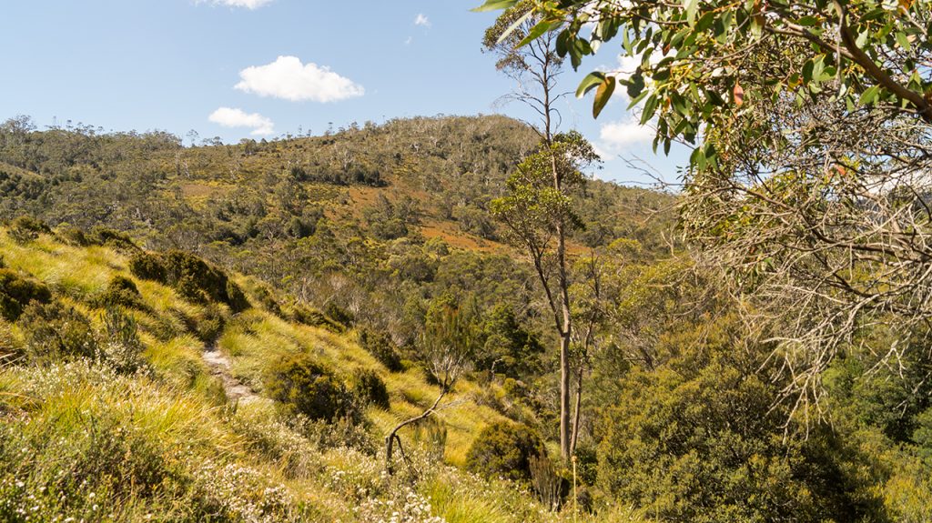 Cradle Mountain Walk