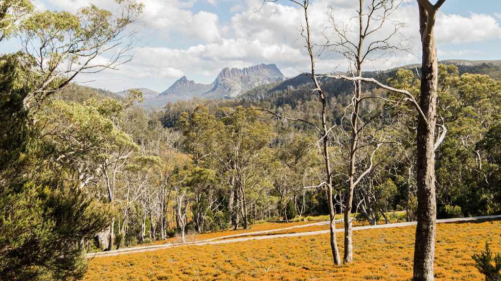 Cradle Mountain Walking Track