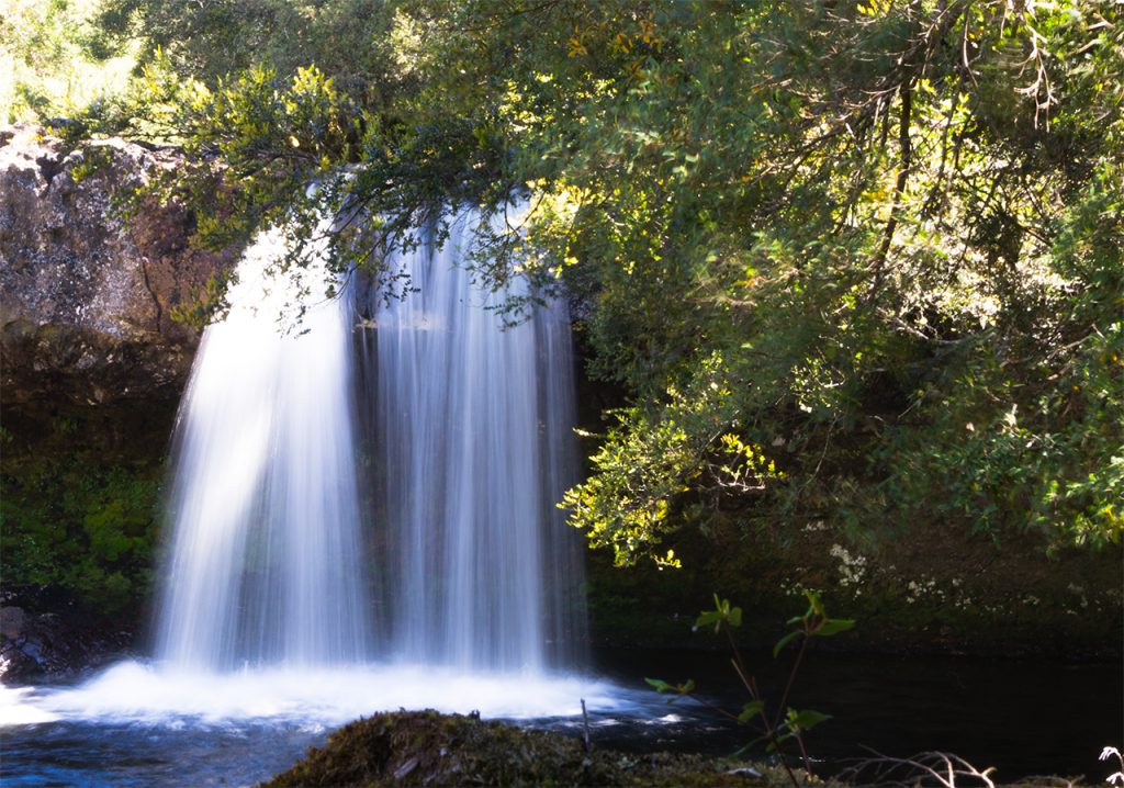 Cradle Mountain Waterfall