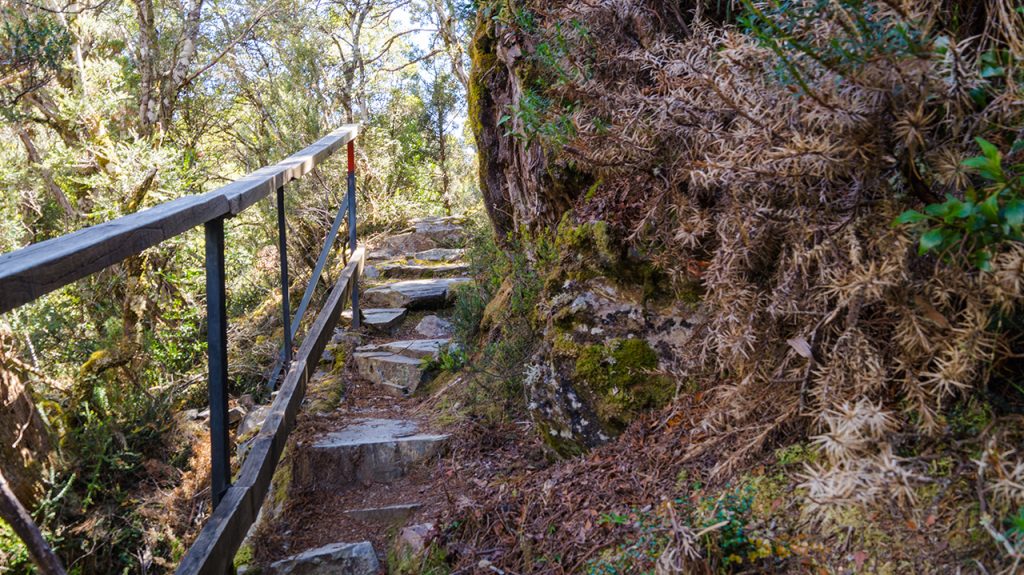 Narrow Path on Cradle Mountain