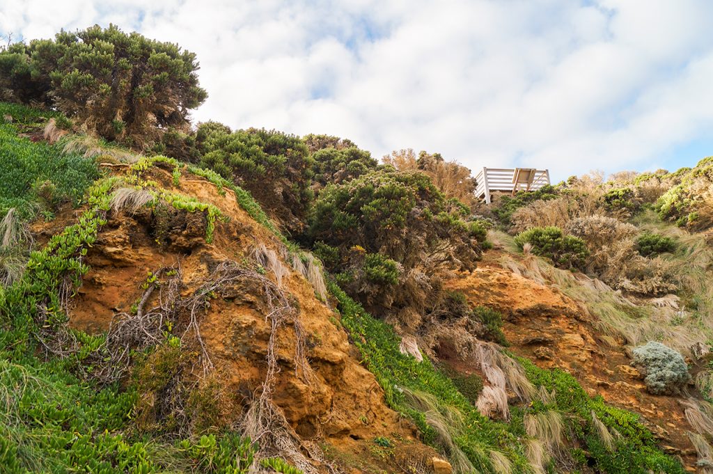 Cliff at bay of islands