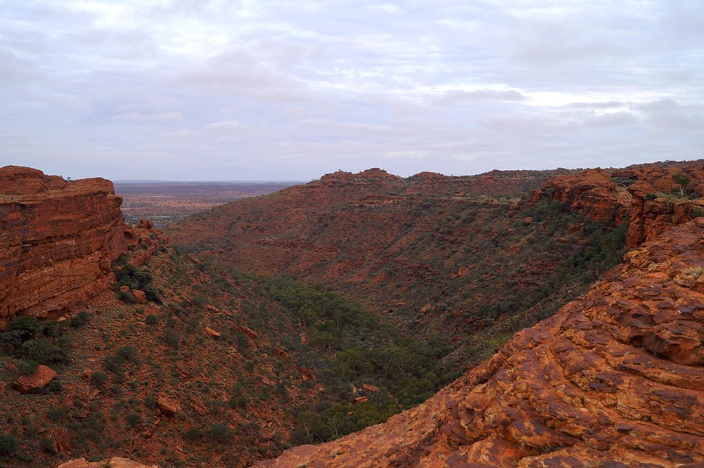 View from the Rim of Kings Canyon Australia