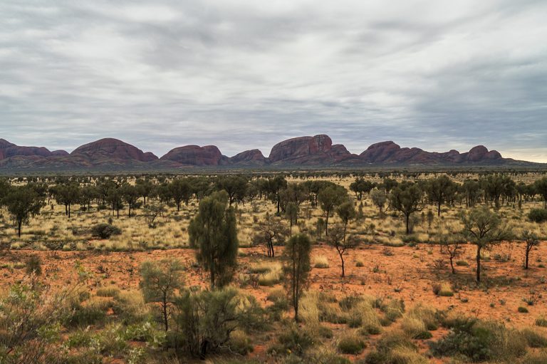 Discovering Kata Tjuta and Scaling the Olgas