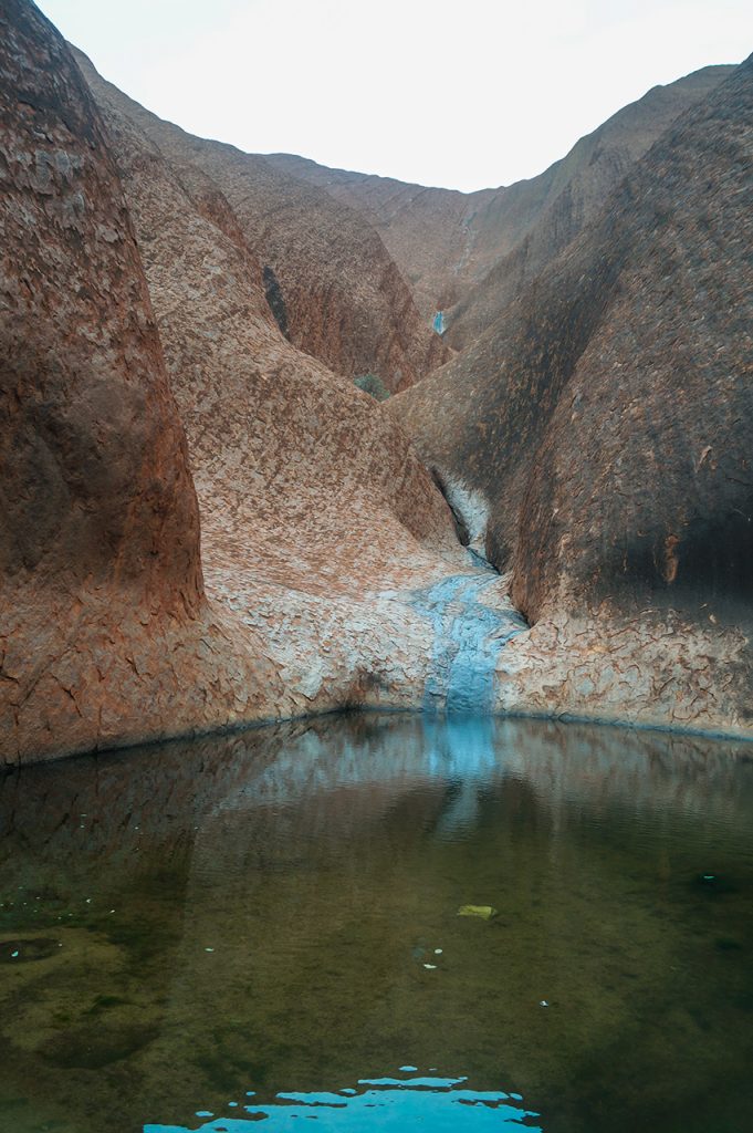 Uluru water hole