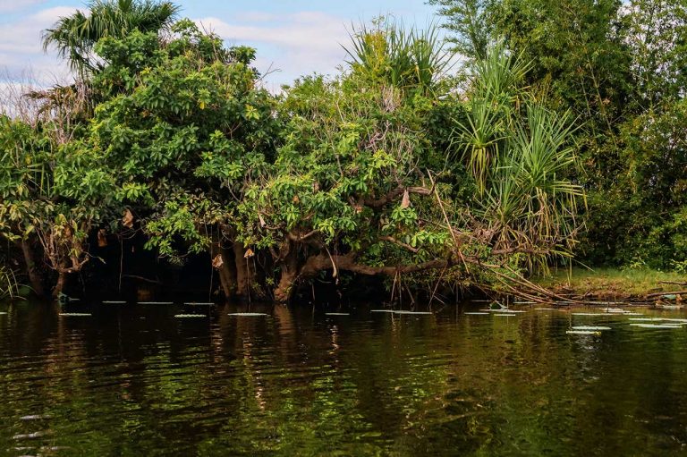 Snapping crocs and birds on the Kakadu Crocodile Tour | Macrodyl