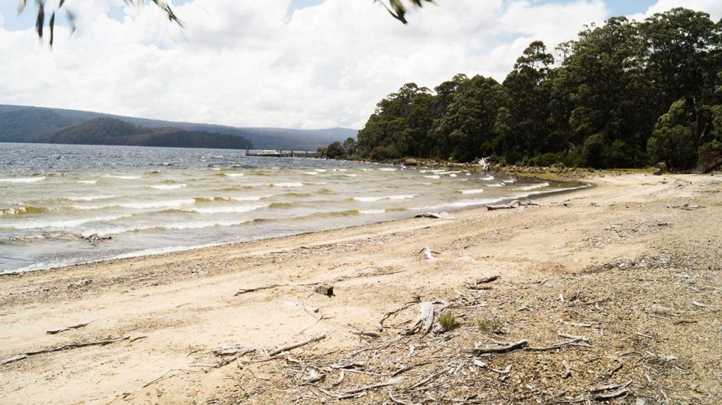 Beach at Lake St Clair Tasmania