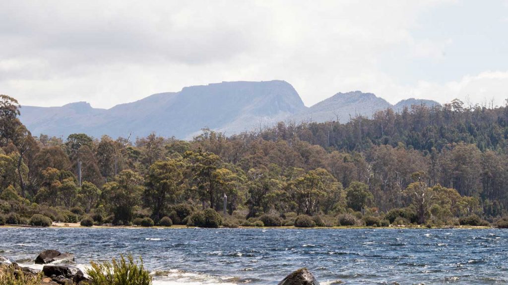 Beach at Lake St Clair Tasmania