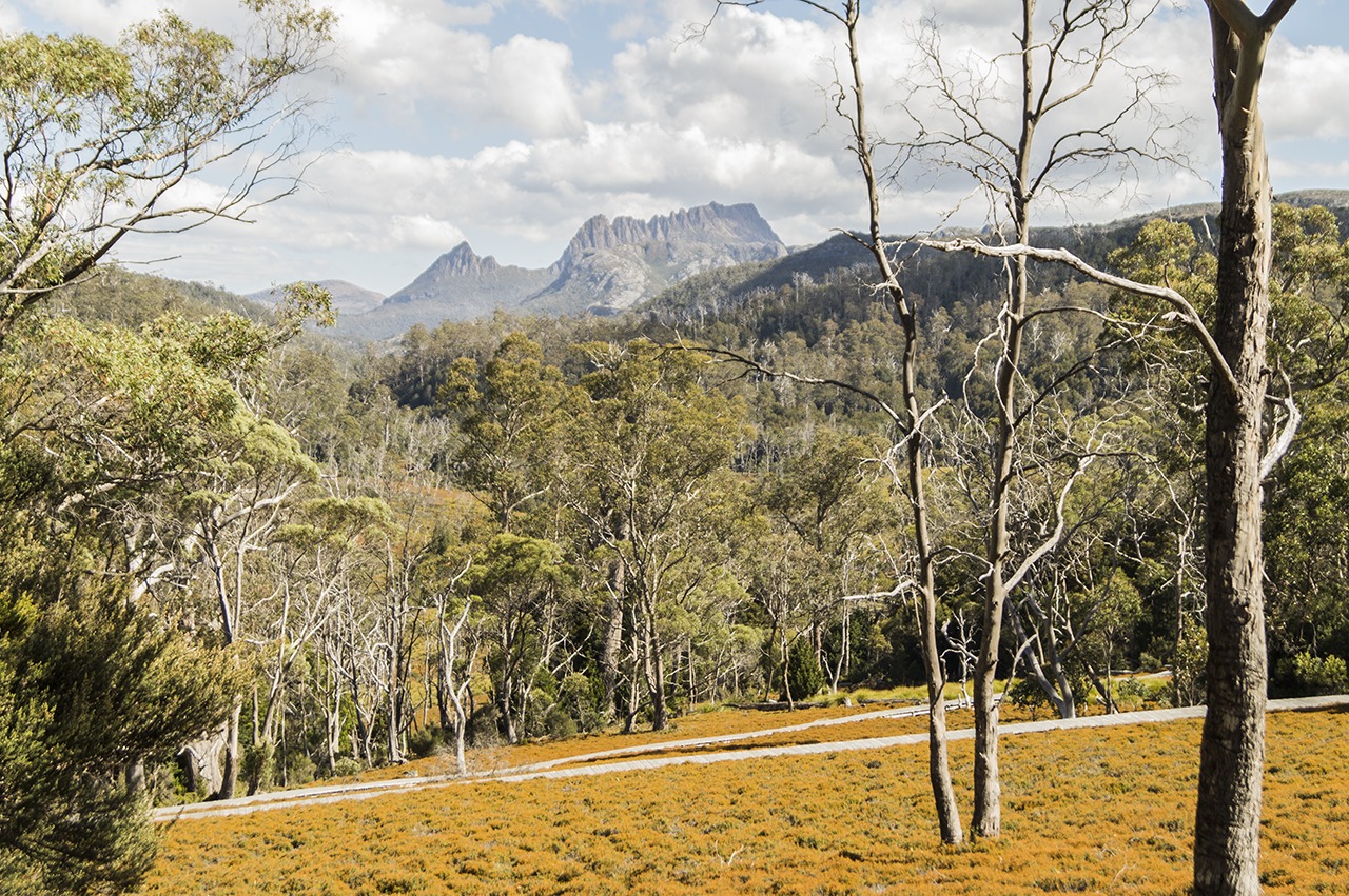 Cradle Mountain Walking Track