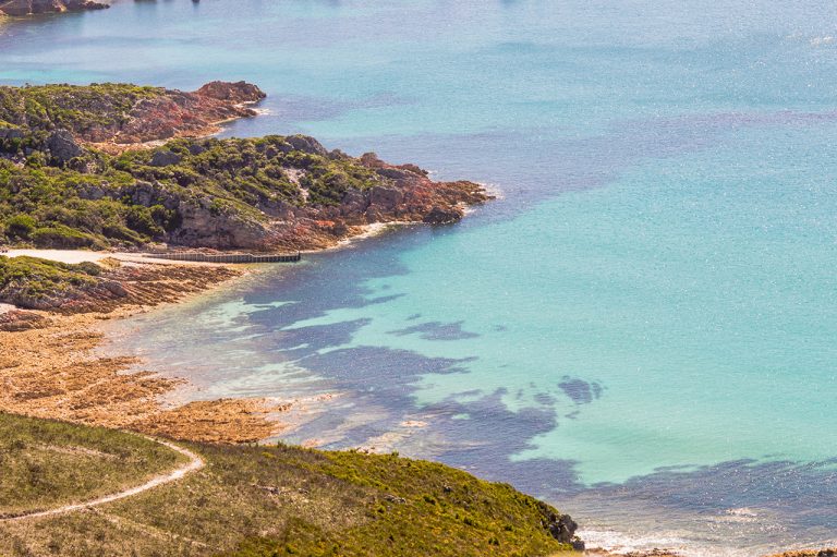 Rocky Cape National Park, Tasmanian Beauty