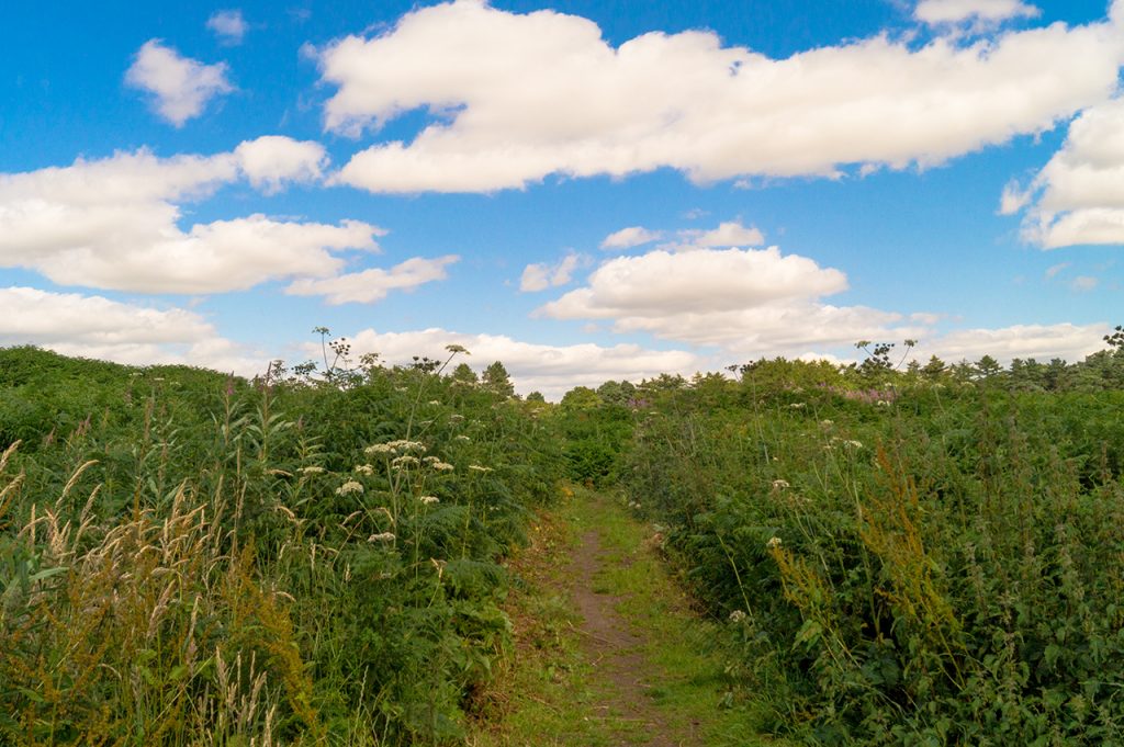 Castle Ring walking trail