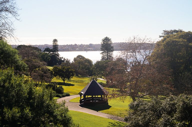 The Royal Botanical Gardens, Sydney. City Centre Sightseeing