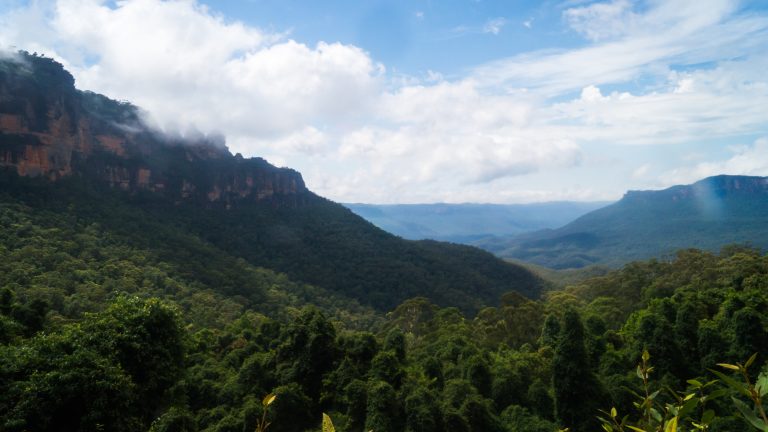 My Blue Mountains Day Trip