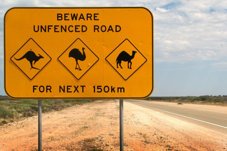 Kangaroo Road Signs: Weightlifting?